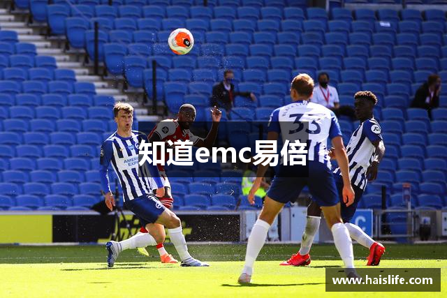 知道emc易倍